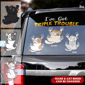 I've Got Trouble Personalized Decal, Gifts For Cat Lover