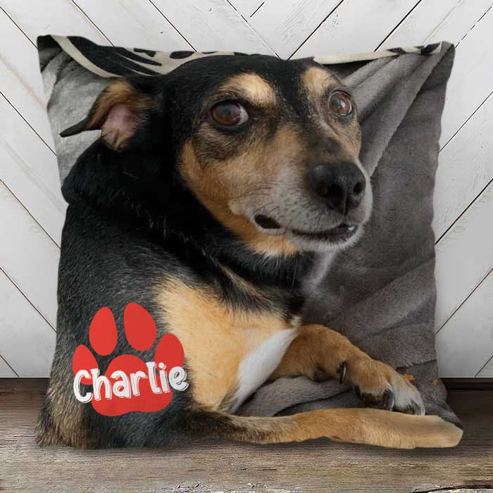 Pet's Face On A Pillow - Personalized Pillow (Insert Included)
